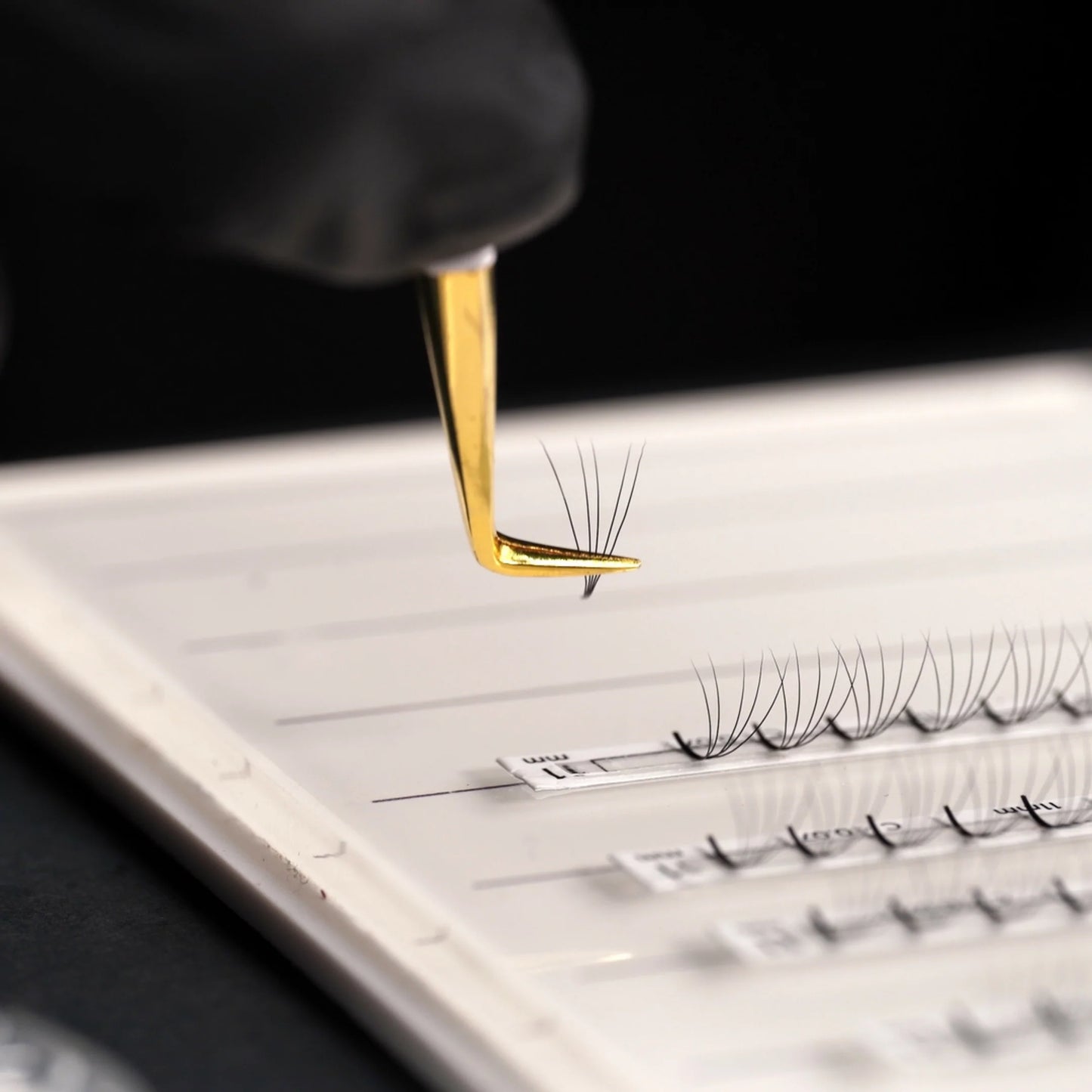 Lash Holder