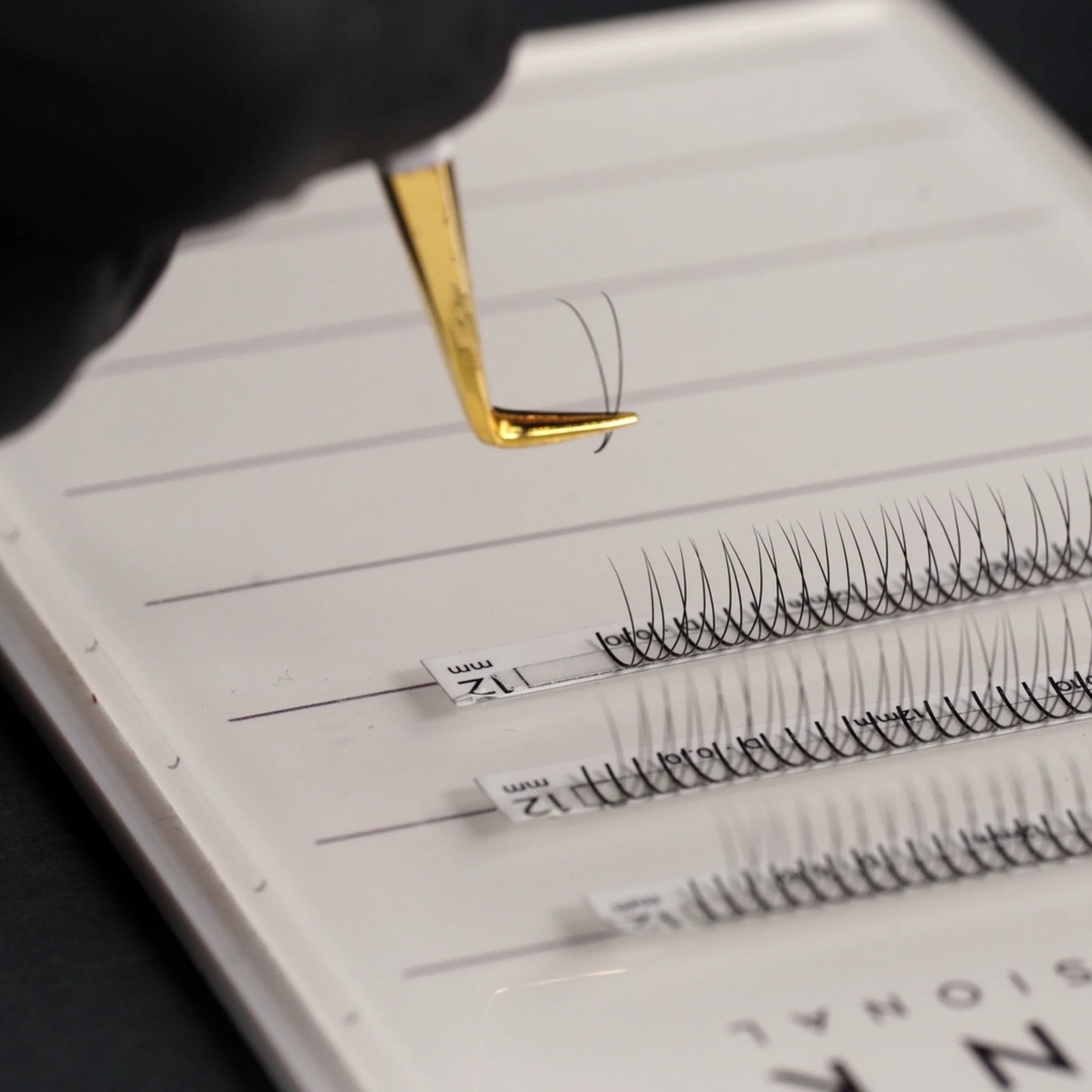 Lash Holder