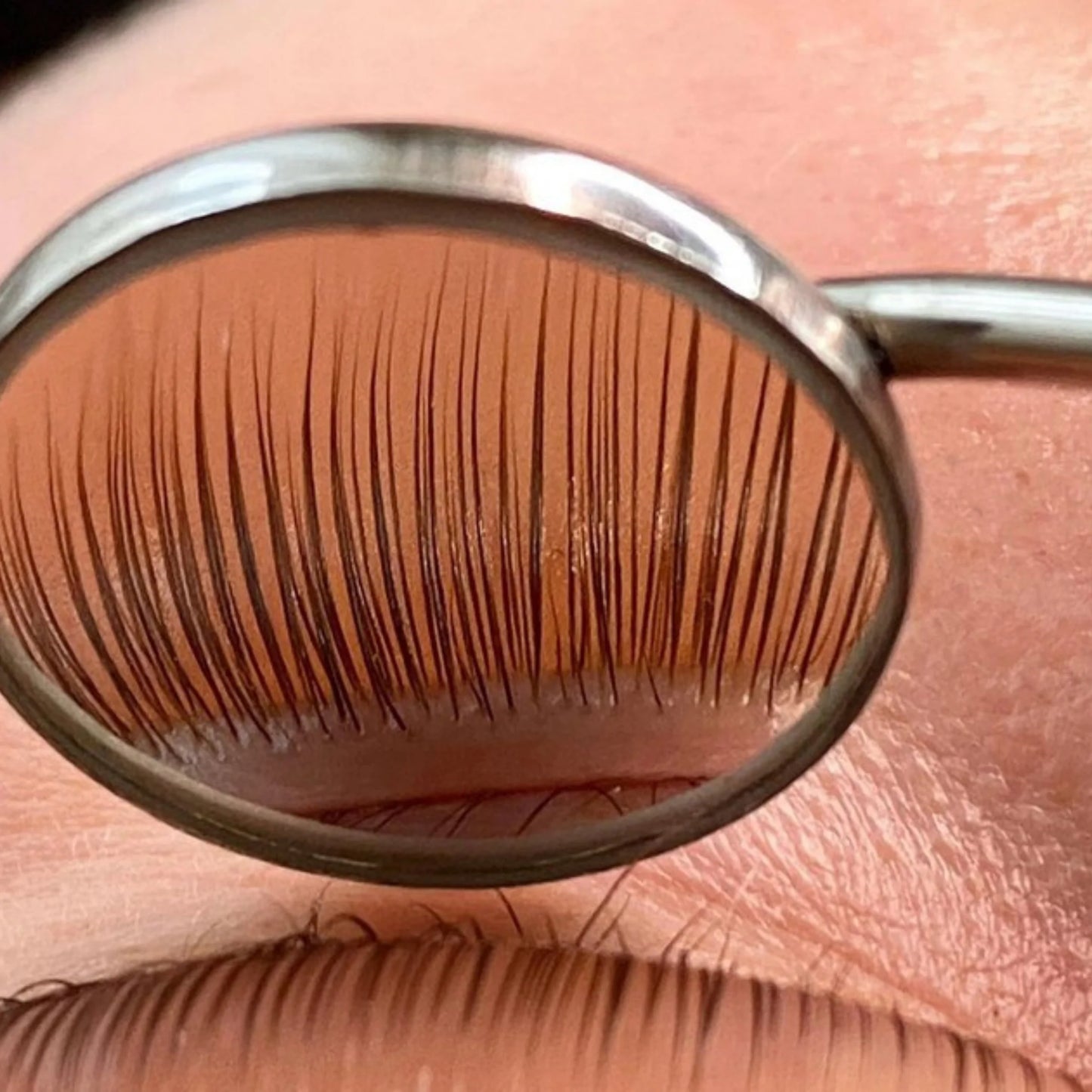 Lash Mirror